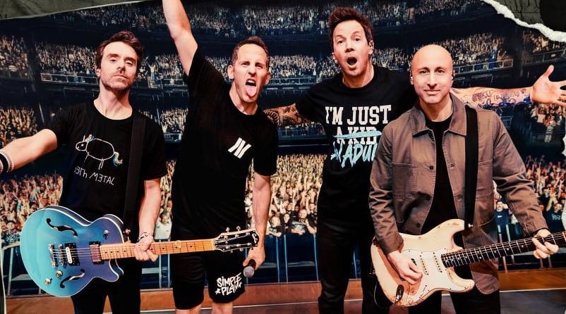 Simple Plan: The Kids in the Crowd
