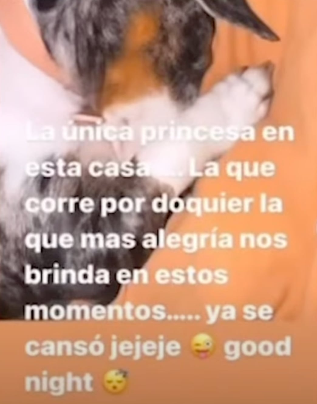 La novia de Juan José Chimal se burló de las hijas de Natalia Alcocer en Instagram