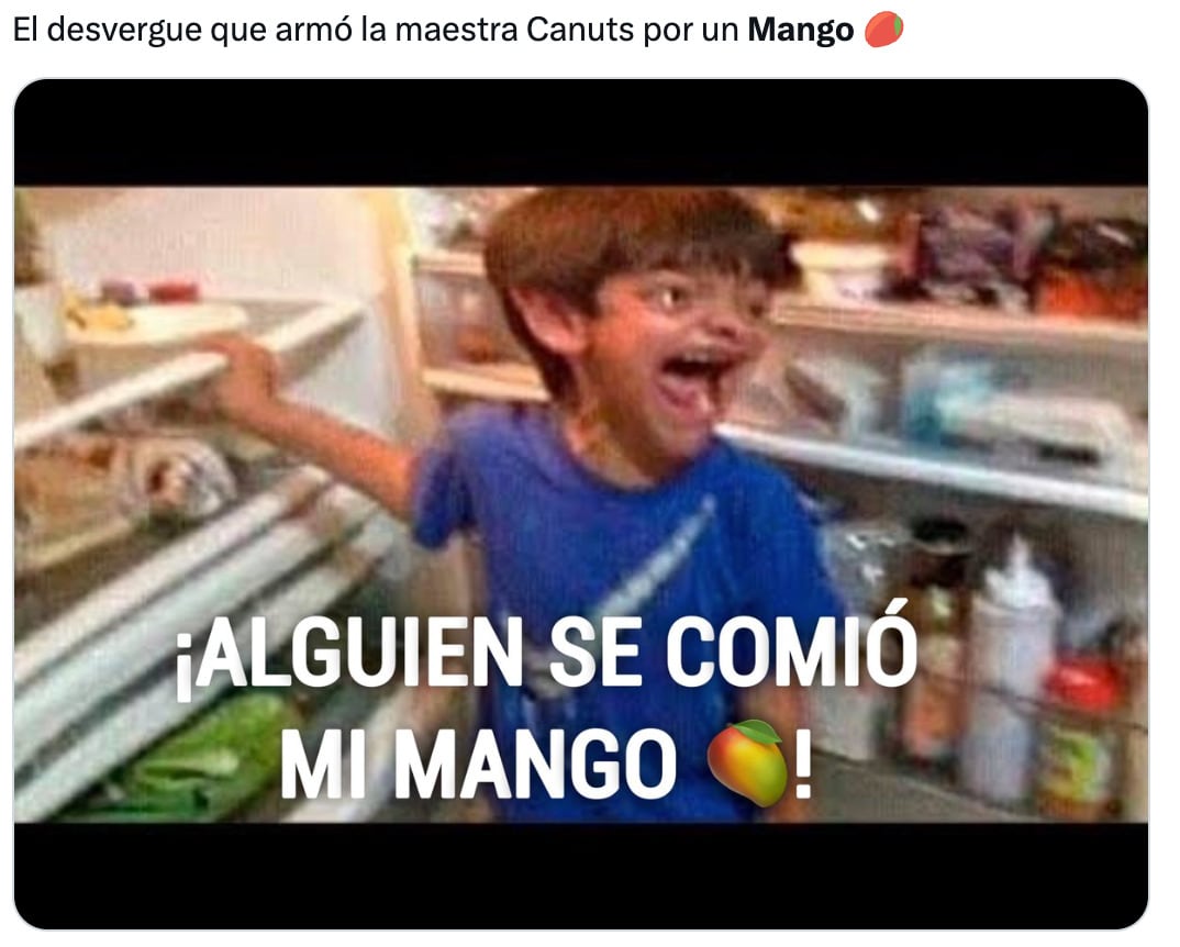 Memes del mango de Briggitte Bozzo en La Casa de los Famosos México 2024