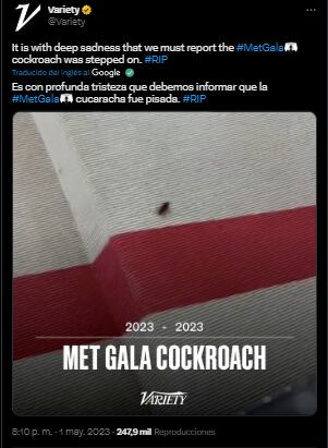 Cucaracha que irrumpió en la Met Gala 2023 sufre trágico final