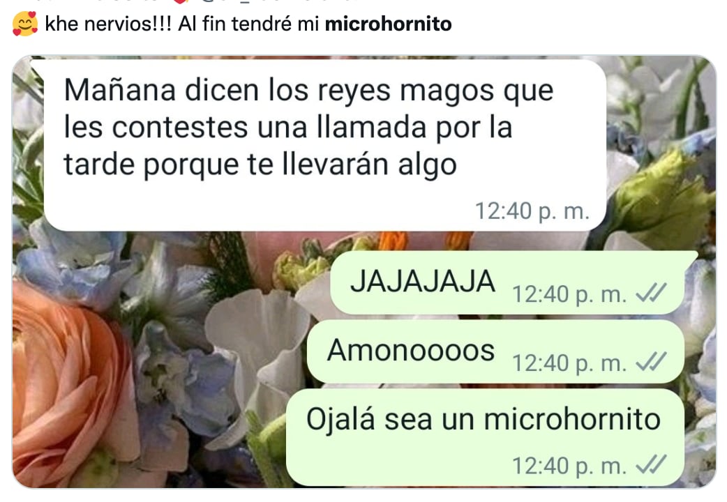 Memes del Micro hornito