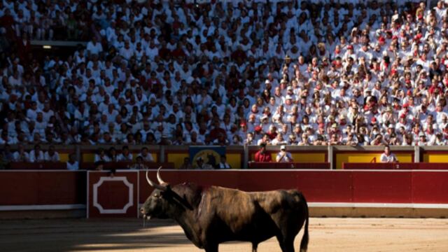 Le rogaría encarecidamente a doña Pilar nos informase si tiene una remota idea de la derrama económica que la Fiesta Brava produce, la cantidad de empleos que genera y los impuestos que de ella se derivan, así como el destino de estos recursos en el erario público.