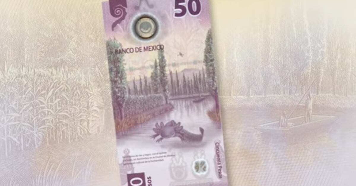 Billete de 50 es el más cotizado; por su ajolote especial se compra ...