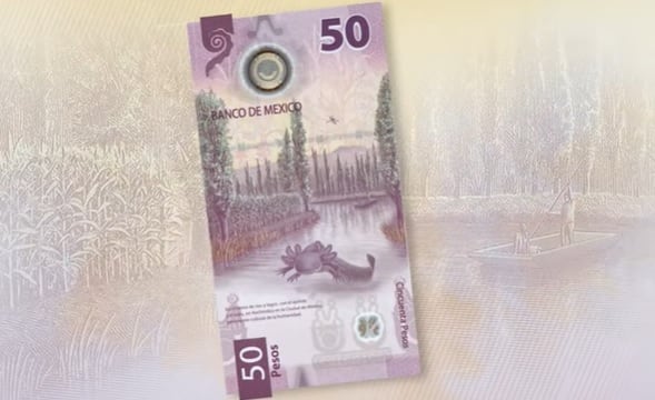 Nuevo billete de 50 pesos