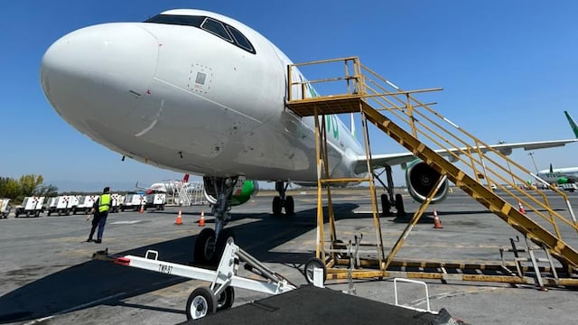 Viva suma 10 años como patrocinador oficial de Tecate Pal Norte