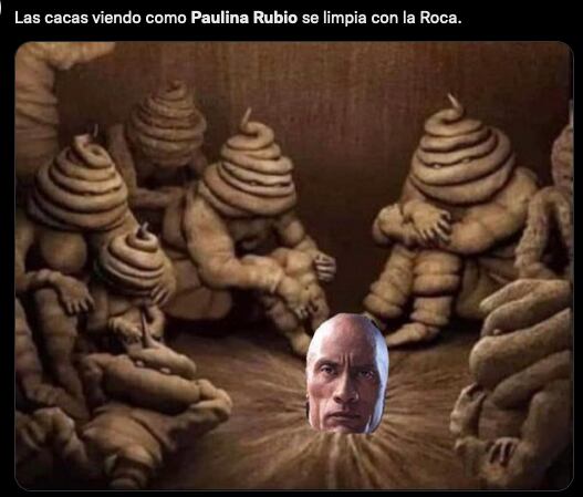 Memes de Paulina Rubio 'defecando' en la playa.