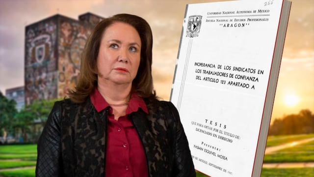 Yasmín Esquivel es la autora de su tesis, resuelve jueza