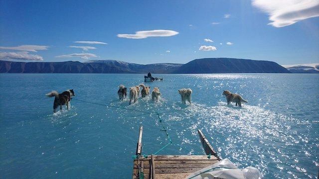 Deshielo en el noreste de Groelandia, fotografía tomada por el investigador climático Steffen Malskaer en junio de 2019