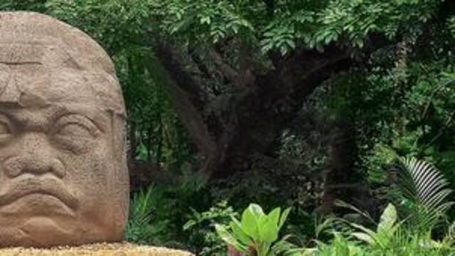 Existen dos versiones sobre el origen del chile que es fuente primaria de la salsa Tabasco