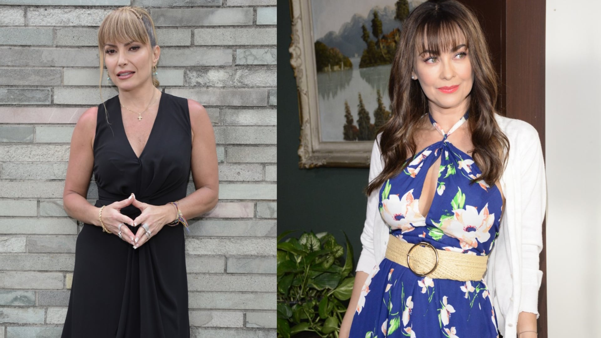 Martha Julia y Aracely Arámbula.