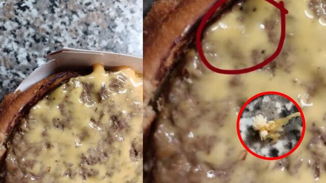Llamen a Profeco: Encuentra huevos de mosca en su hamburguesa de McDonalds