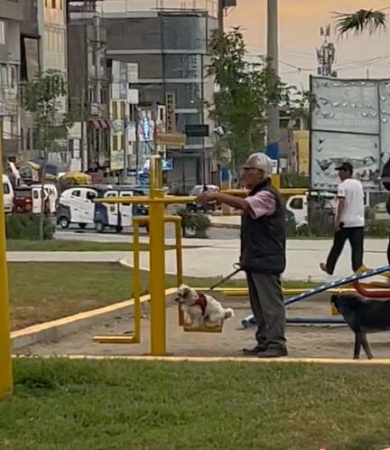 Lleva a su perrito a los columpios