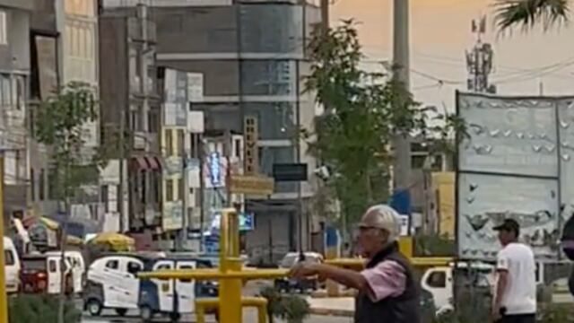 Lleva a su perrito a los columpios