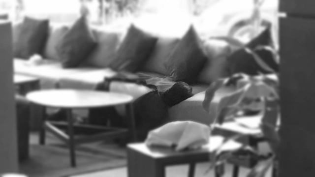 Asesinan a empresario Jorge Kalb Salmati