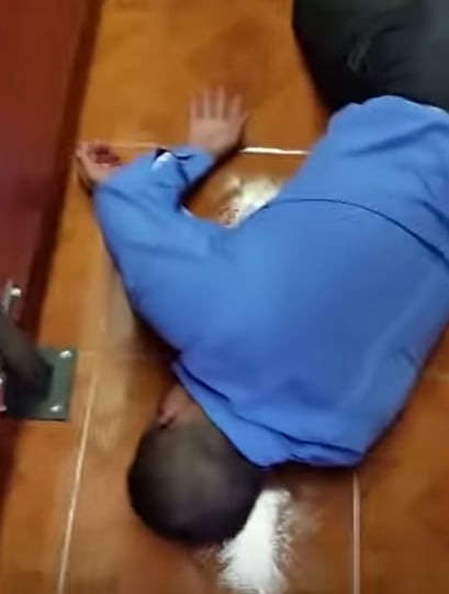 "El abogado se cayó", TikTok