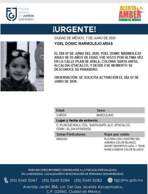 Ficha de búsqueda.