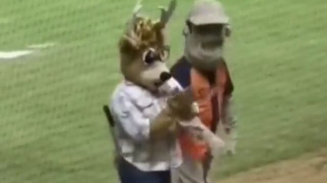 Venados de Mazatlán.