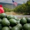 Nuevo revés al aguacate mexicano: Estados Unidos frena envíos desde Michoacán