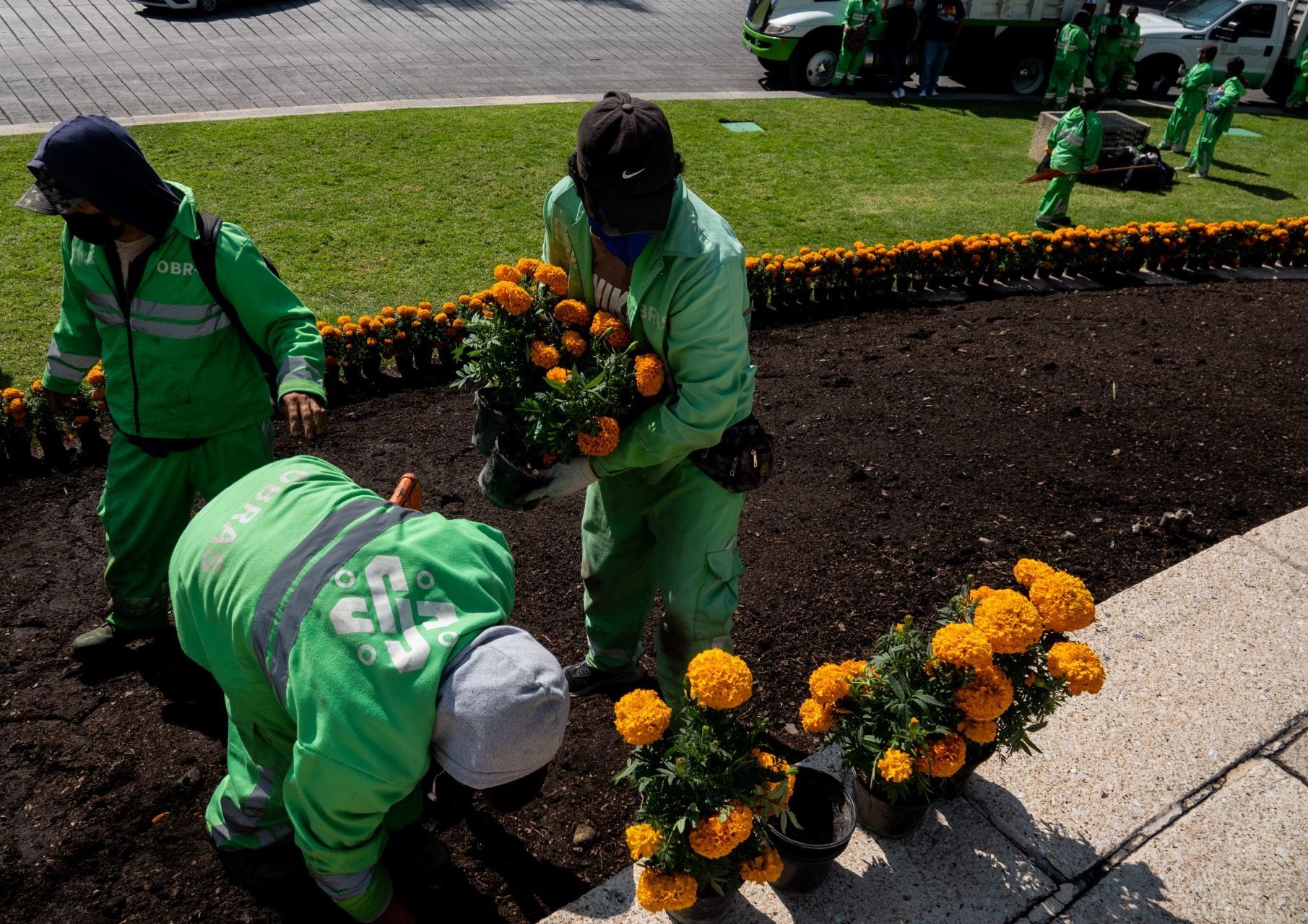 Trabajadores de la CDMX colocan flores de cempasúchil