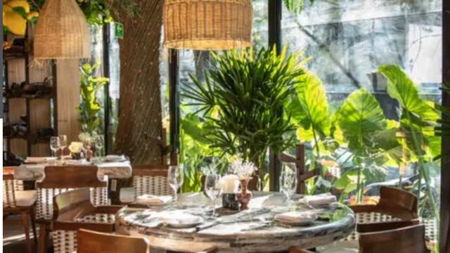 Selva artificial inflamable