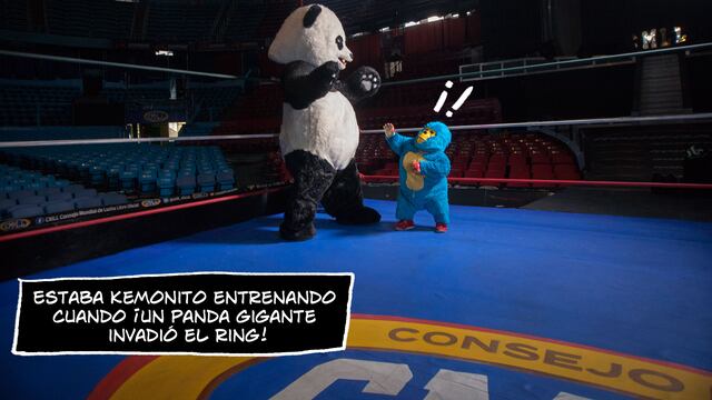 Kemonito y el oso de la WWF