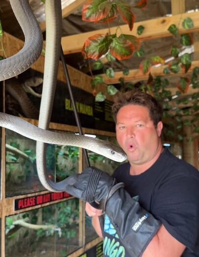 Dingo Dinkelman, El Steve Irwin de Sudáfrica