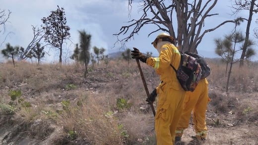 Alerta ambiental en Jalisco por incendio en Bosque de la Primavera