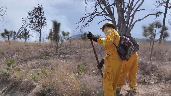 Alerta ambiental en Jalisco por incendio en Bosque de la Primavera