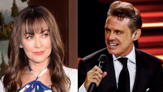 Aracely Arámbula / Luis Miguel