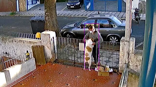 Roban la ropa de un perro