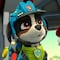 6 fondos de pantalla de Rex, el cachorro en silla de ruedas y nuevo integrante de Paw Patrol, para descargar en tu smartphone