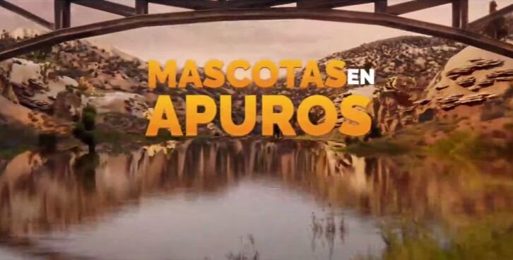 Mascotas en apuros 2024