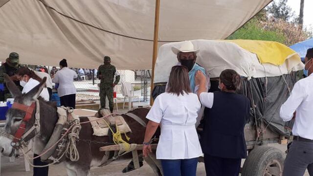 Adulto mayor llega en burro