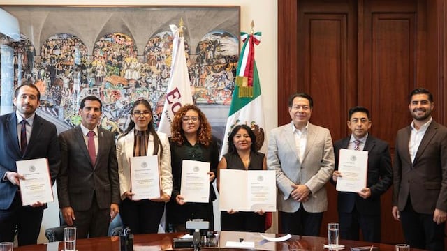 Las y los integrantes de la CAAD ejercerán sus funciones durante tres años con posibilidad de reelección.