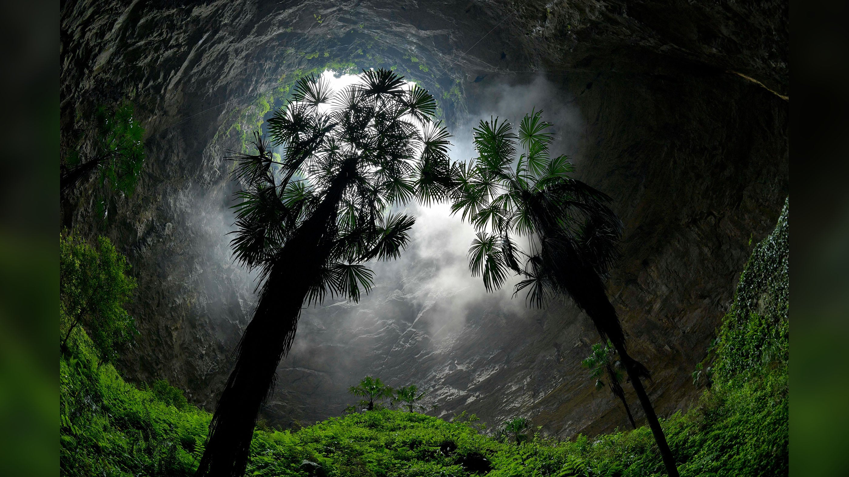 Bosque en un sumidero kárstico gigante del condado de Xuan'en, l China
