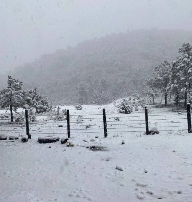 Tormenta invernal cubre de nieve a Chihuahua y Durango