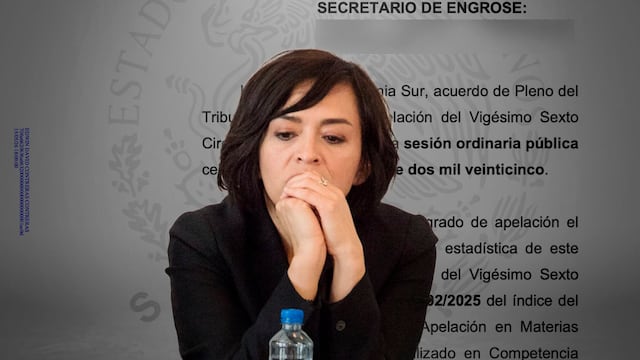 Fallo judicial contra Anabel Hernández autora de "Las señoras del narco: Amar en el infierno", publicado por Penguin Random House