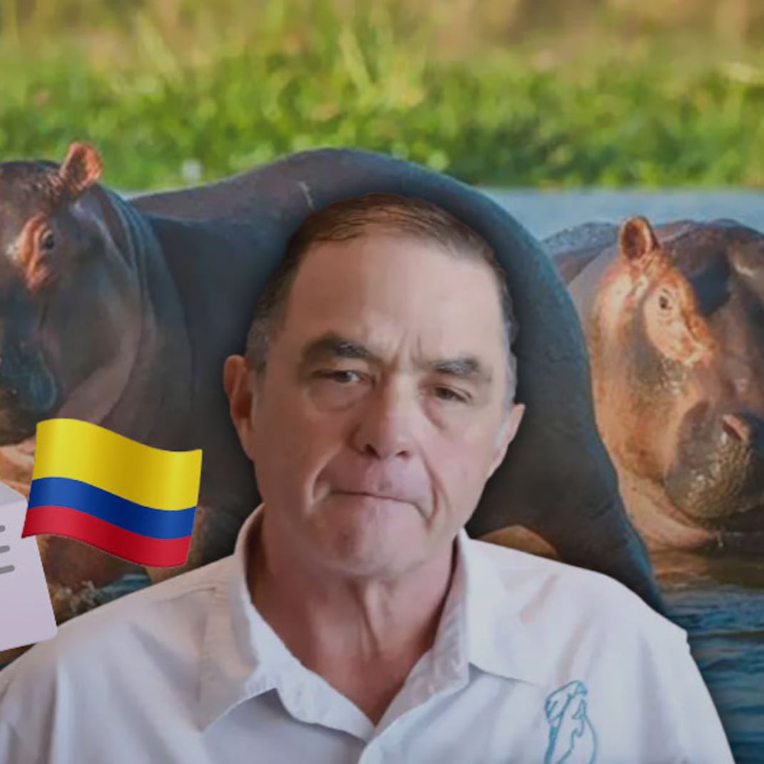 Ernesto Zazueta busca llevar hipopótamos a México para evitar su eutanasia en Colombia