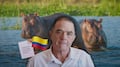 Ernesto Zazueta busca llevar hipopótamos a México para evitar su eutanasia en Colombia