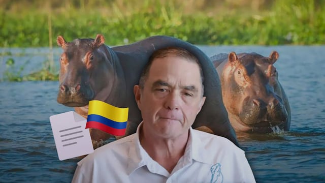 Ernesto Zazueta buscó que se trasladaran hipopótamos colombianos a México