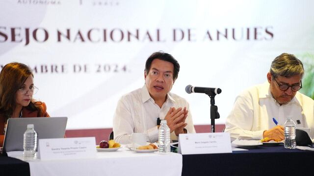 Mario Delgado, secretario de Educación Pública