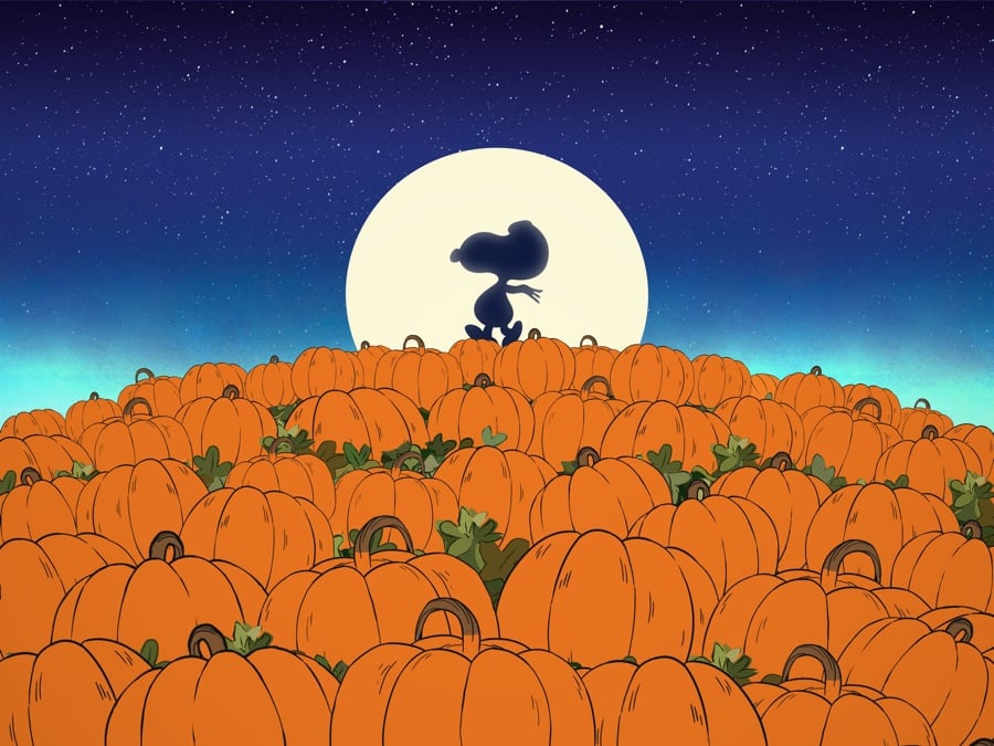 Es la Gran Calabaza, Charlie Brown