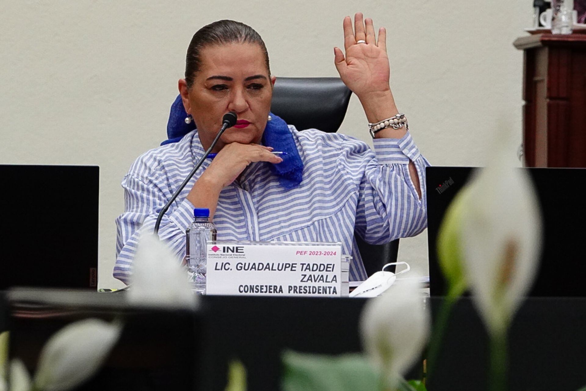 Guadalupe Taddei Zavala, consejera presidenta, afirma que un recorte al INE no afectaría las elecciones 2024.