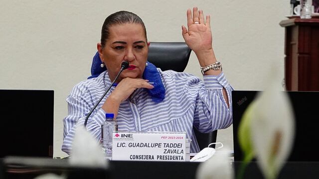 Guadalupe Taddei Zavala, consejera presidenta, afirma que un recorte al INE no afectaría las elecciones 2024.