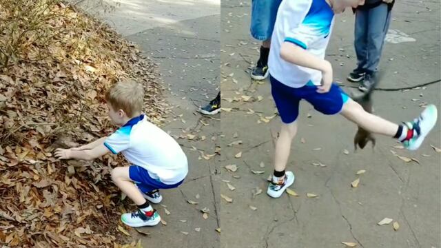 Ardilla ataca a niño en zoológico