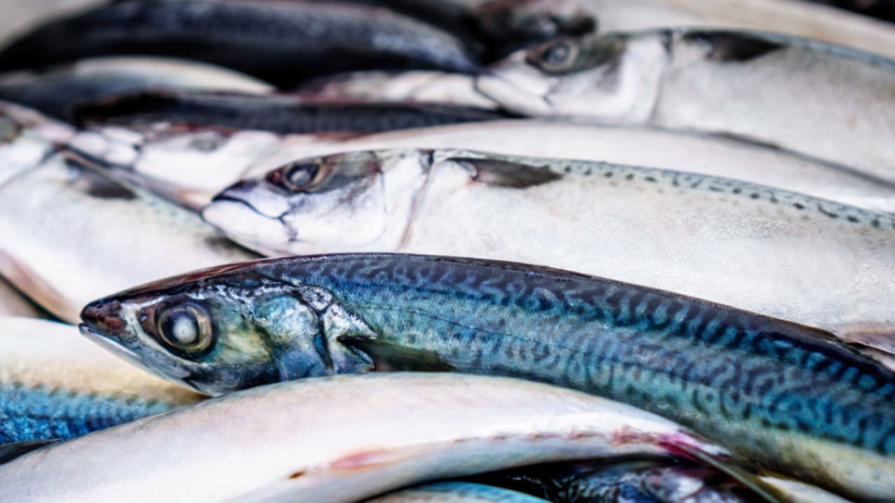 Pescado