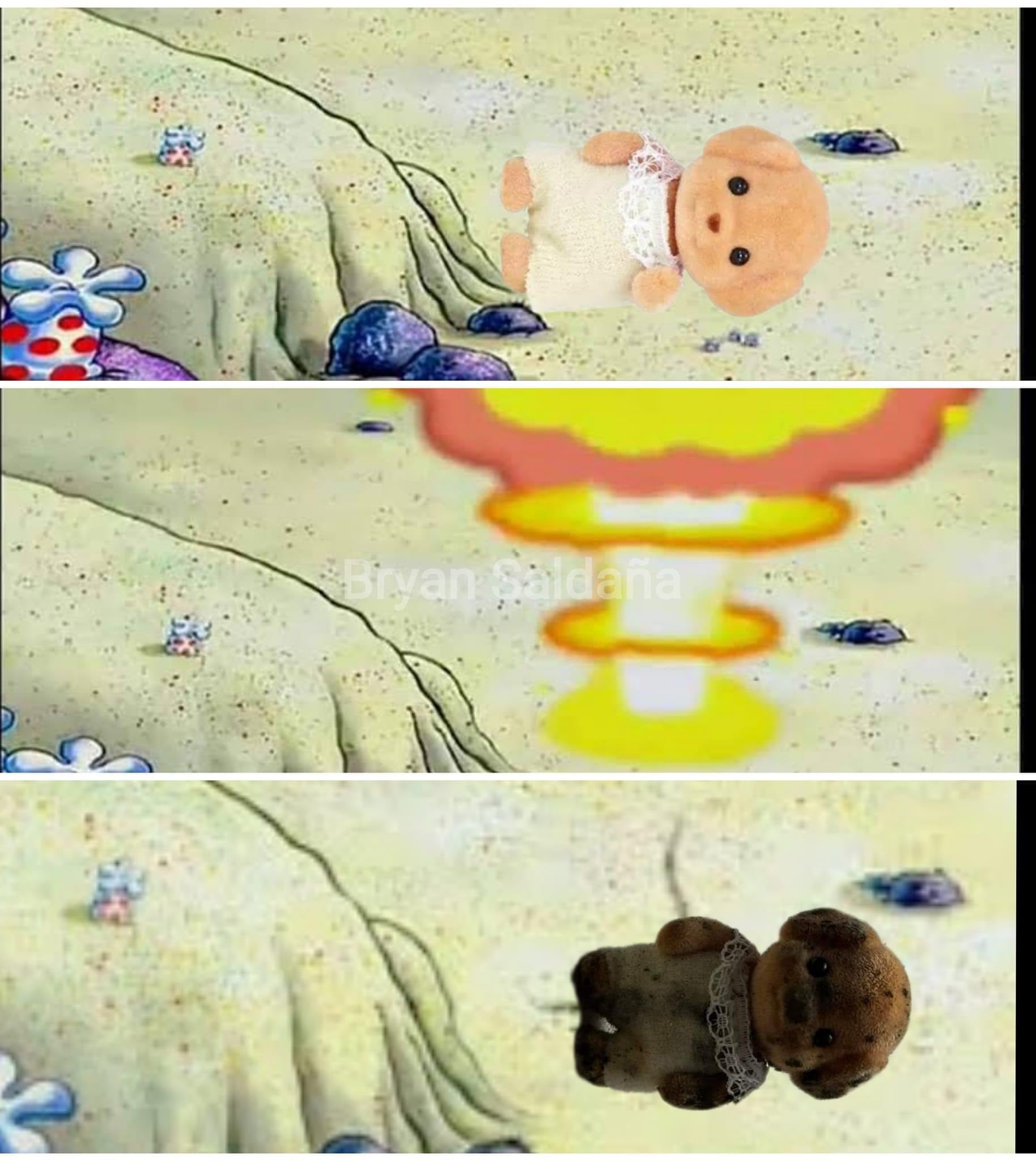Memes del Ternurín lleno de hongos
