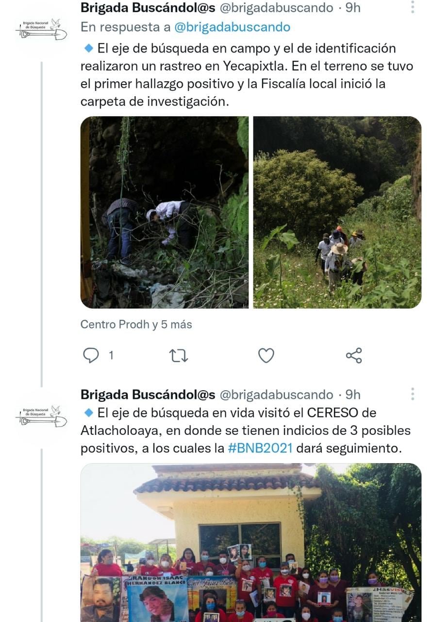 Resultados de la Brigada