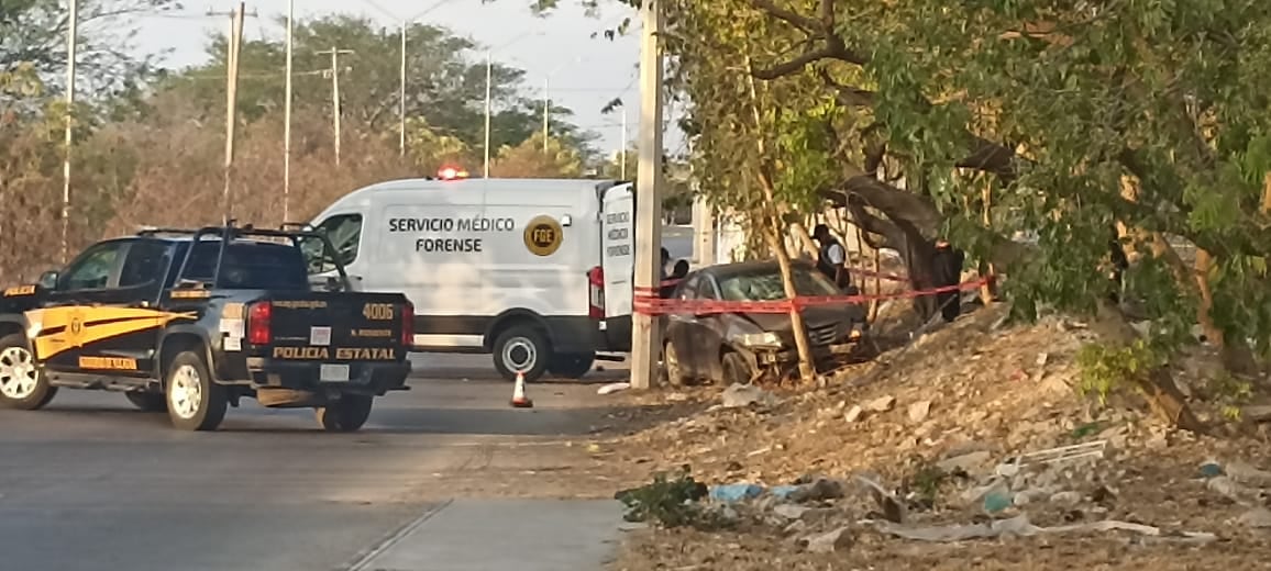 ¿Qué pasó en Mérida, Yucatán? conductor choca contra un árbol y muere; tenía 16 años