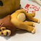 Niña pide pastel decorado con la muerte de Mufasa